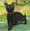 adoptable Cat in  named 250835  Mimi