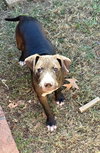 251418  Baby Girl