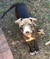 251418  Baby Girl