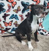 251489  Ruthie