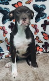 251489  Ruthie