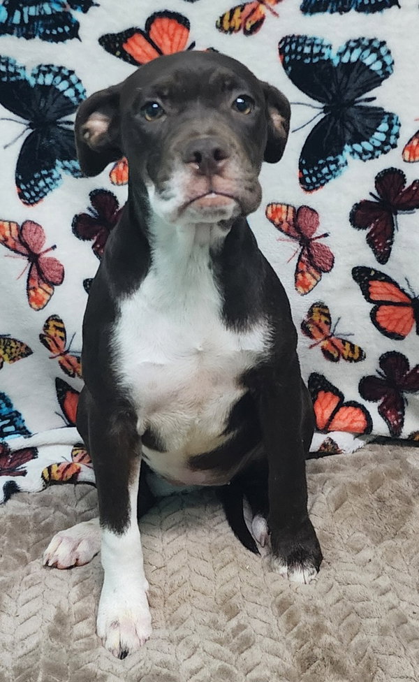 260266 Ruthie