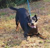 251282  Angie