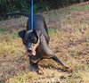 251282  Angie