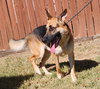 251598  Axel