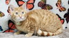 251219  Caleb
