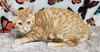 251219  Caleb