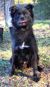 251738  Bear