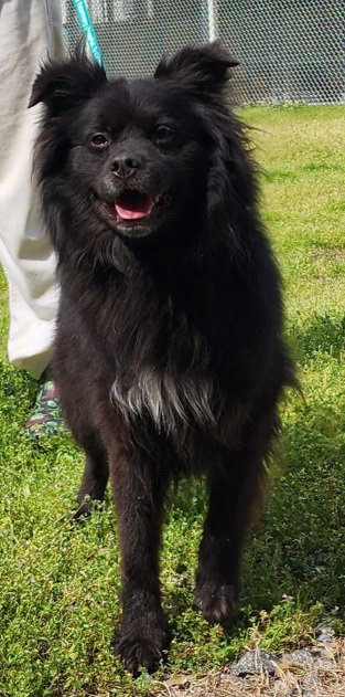 260383   Bear