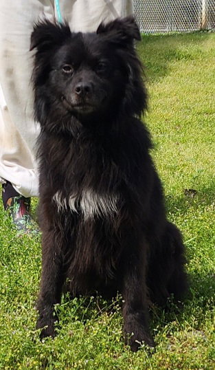 260383   Bear