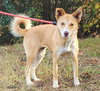 251824  Ruby