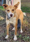 251824  Ruby
