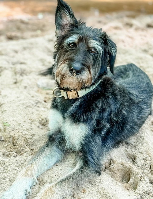260663  Winnie photo 2