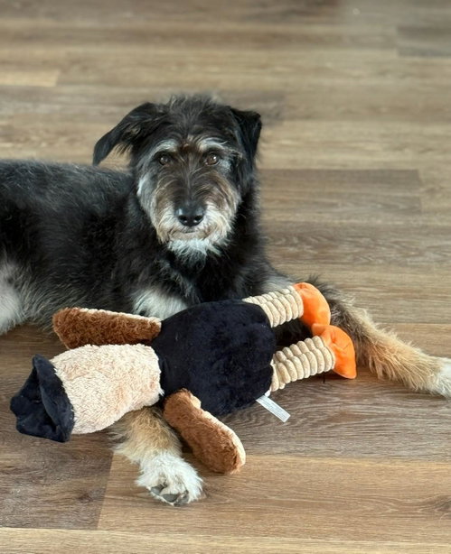 260663  Winnie photo 3