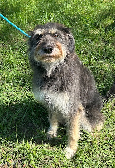 260663  Winnie photo 4