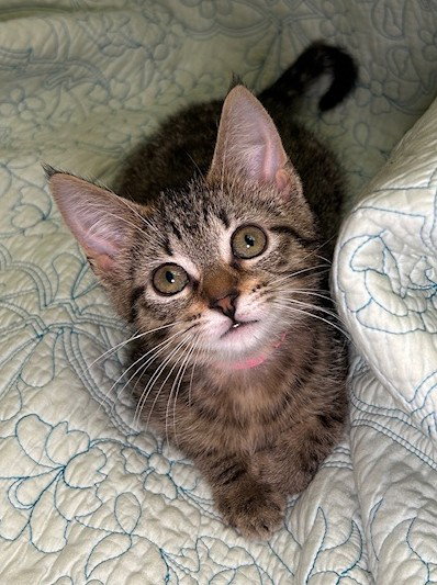 260495 Izzy