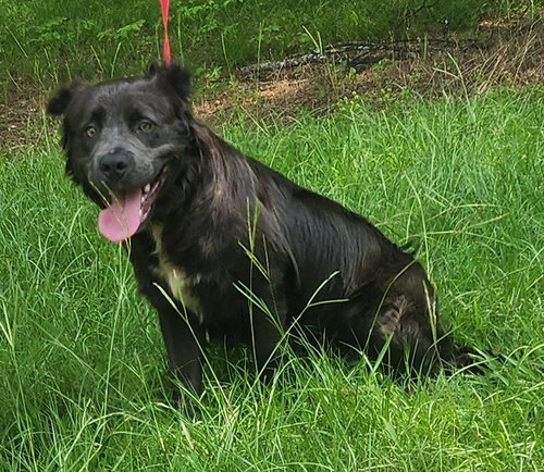 260671  Cain photo 2