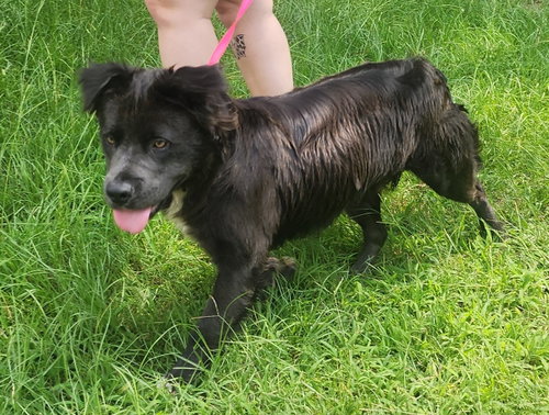 260671  Cain photo 3