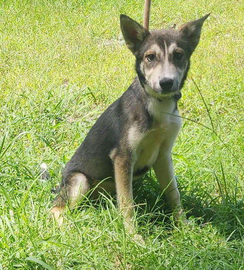 260786  Faith photo 2