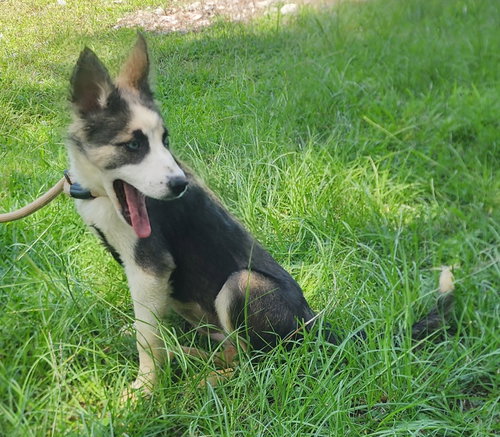 260786  Hope photo 2