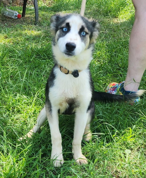 260786  Hope photo 3