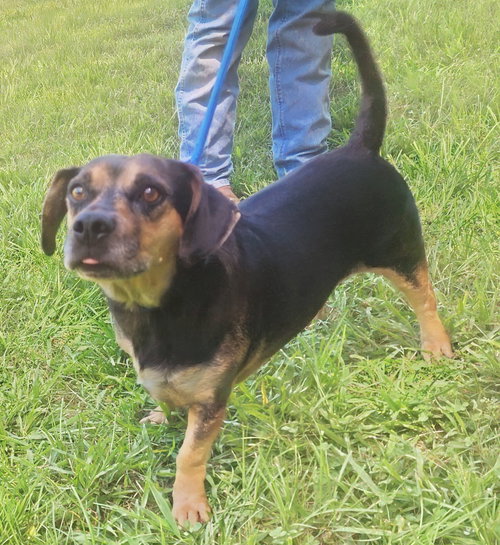 260807  Ozzy photo 3