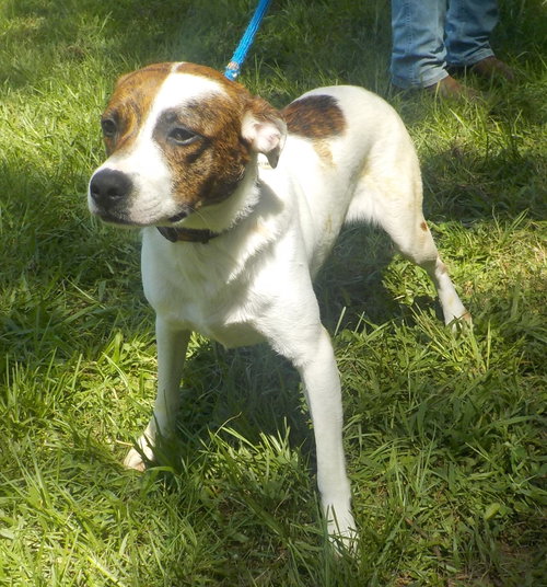 260928  Sheldon photo 2