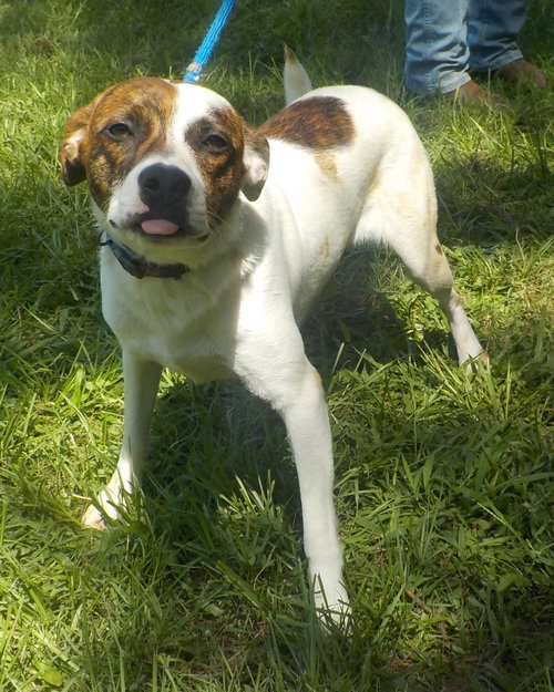 260928  Sheldon photo 3