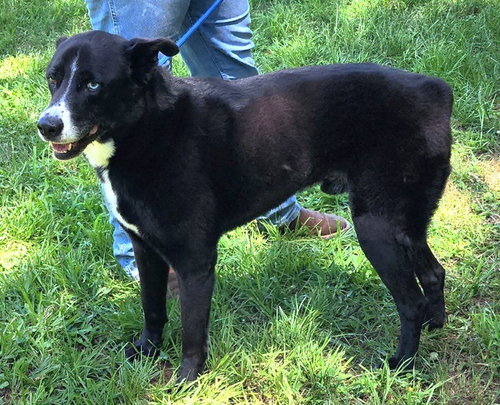 260905  Gunter photo 2