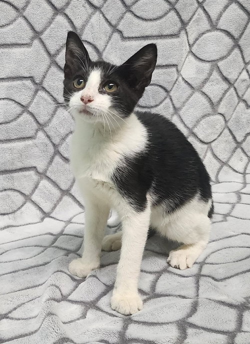 260974  Doug photo 3
