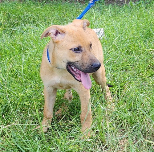 260912  Cletus photo 2