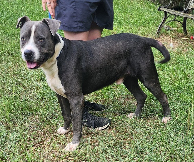 260989  Rocky