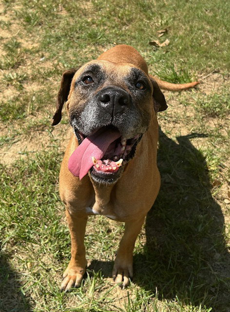 261079 Dakota, photo 2