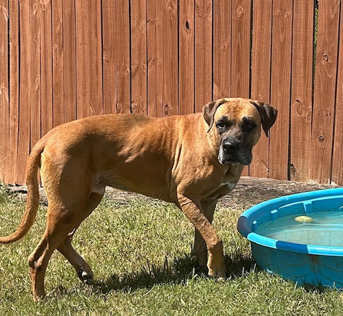 261079 Dakota, photo 3
