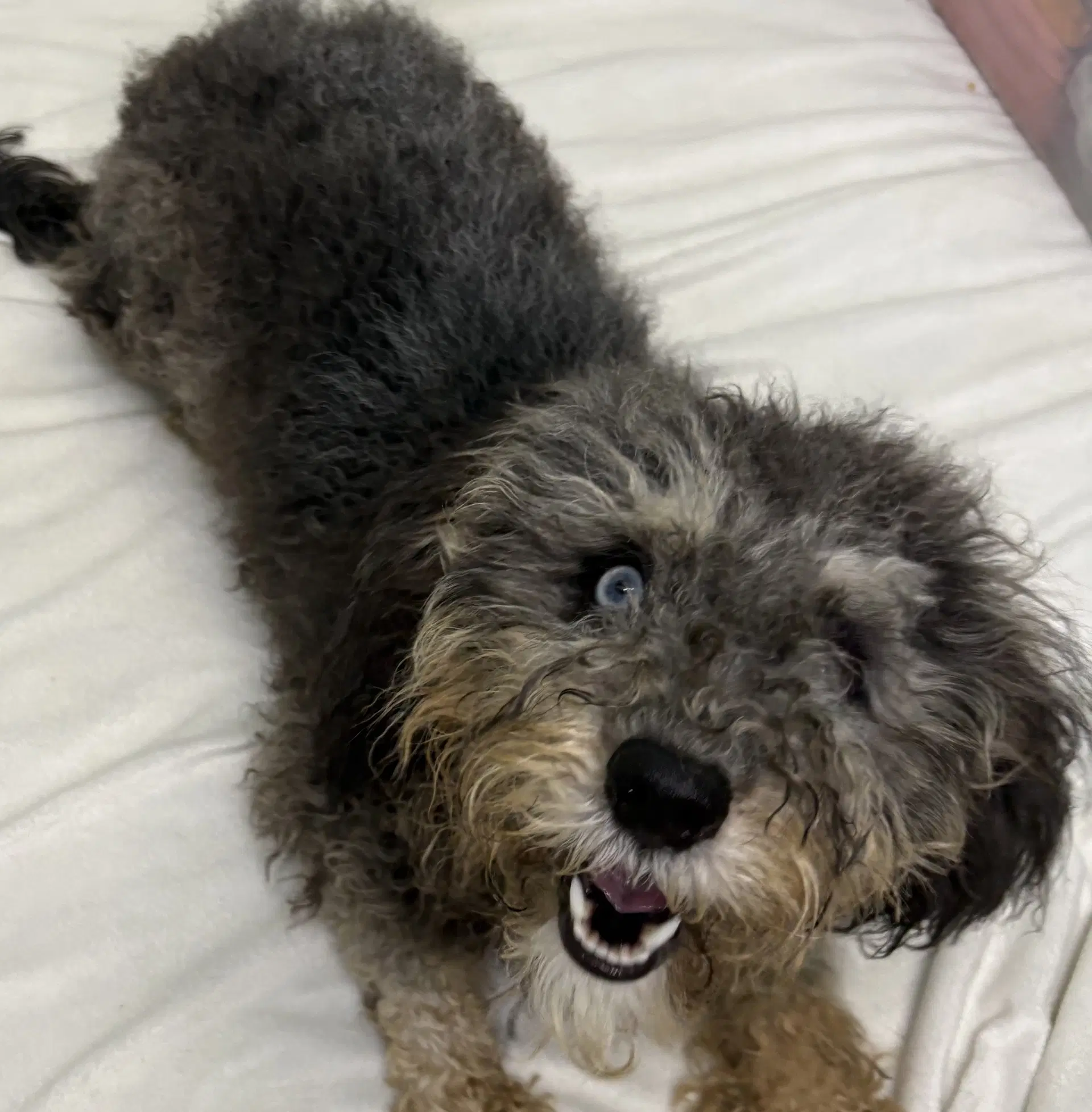 Maddie image 2