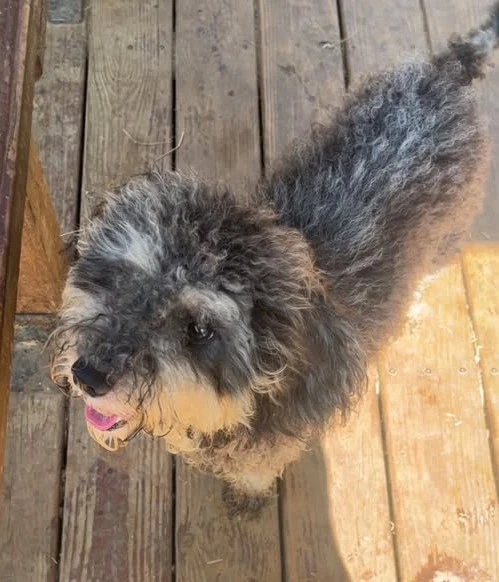 Maddie