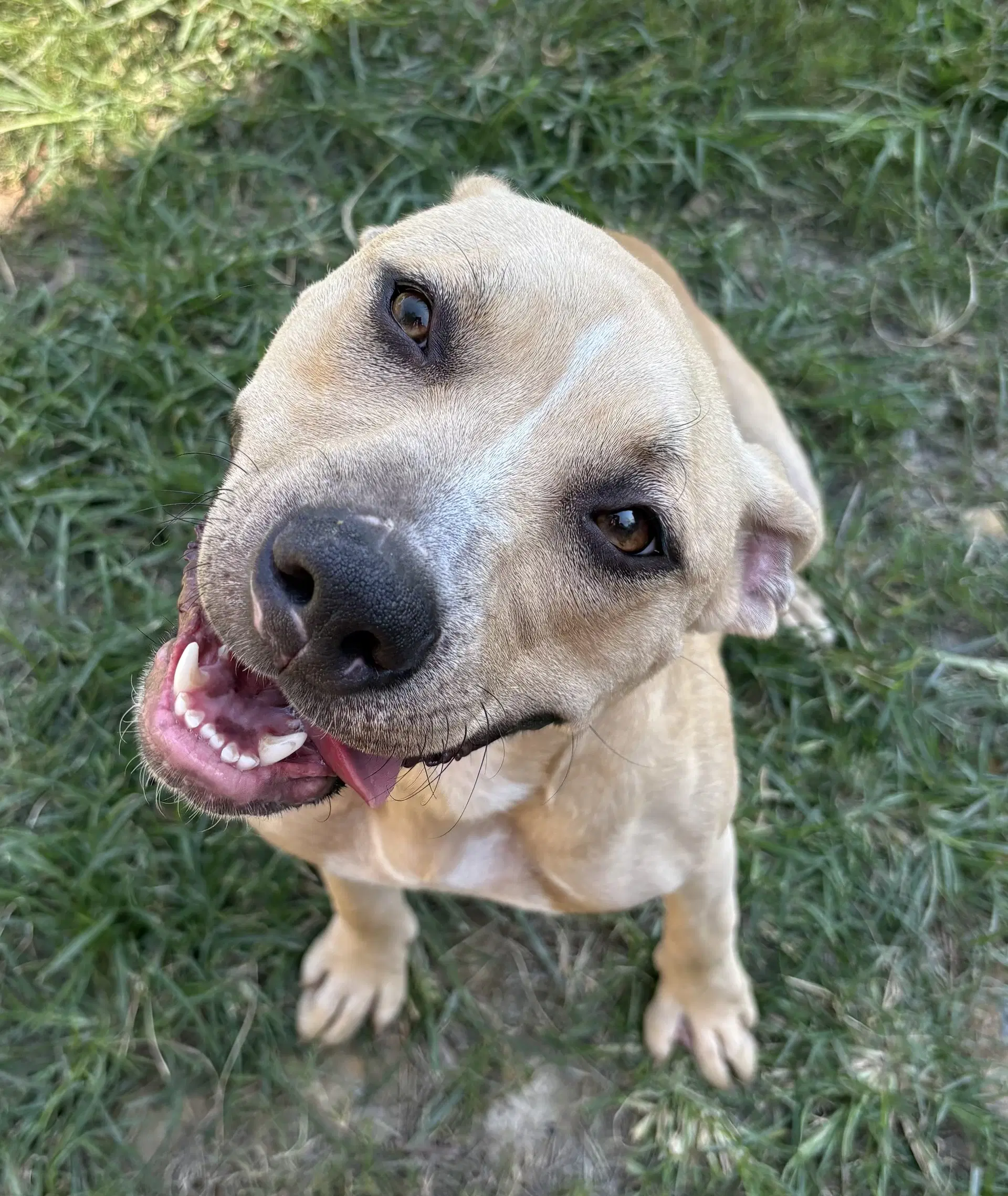 Phoebe image 2
