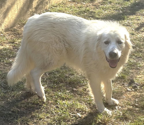 Photo 2 of 261486 Ami