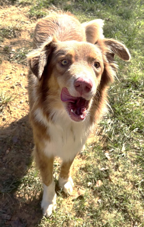 Photo 2 of 261562 Rudy