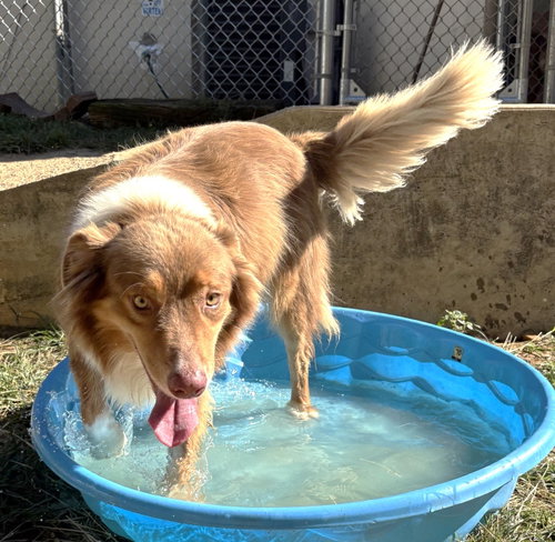 Photo 3 of 261562 Rudy