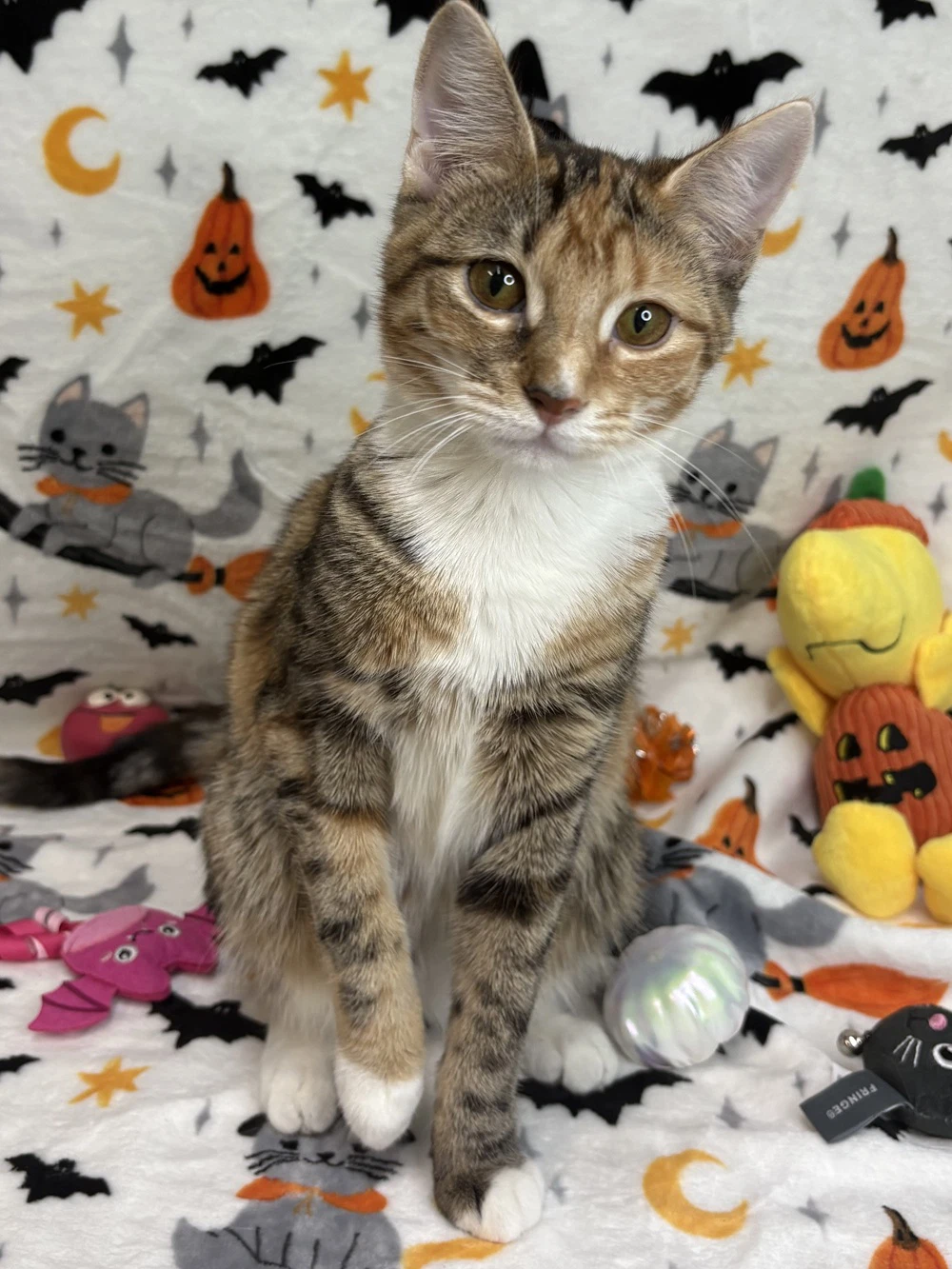 Carla