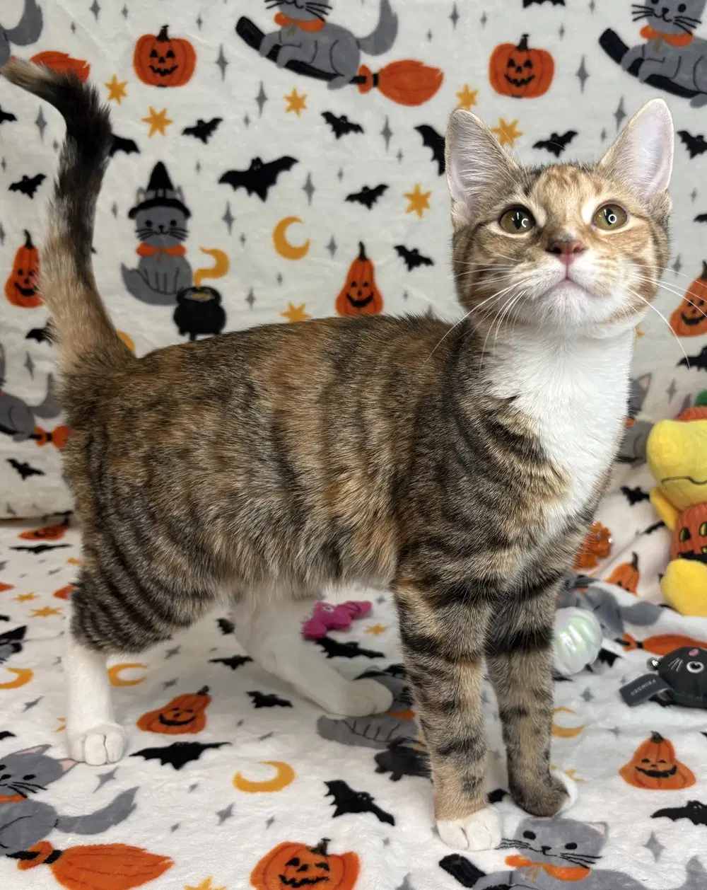 Carla image 2