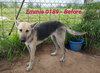 Emmie 0189