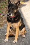 Kona 0176