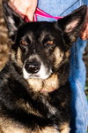 Kona 0176