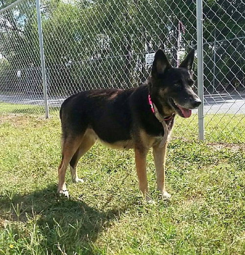 Kona 0176