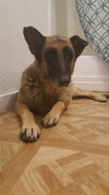 Thora 0228