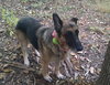 Thora 0228