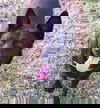 Zina 0241