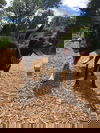 Rainer 0242